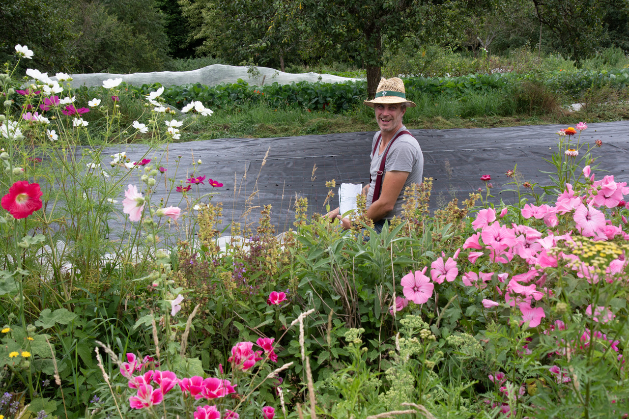 A man in a straw hat tending  to a garden filled with colorful flowers and leafy greens.